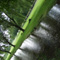 angled_creek_1_sm